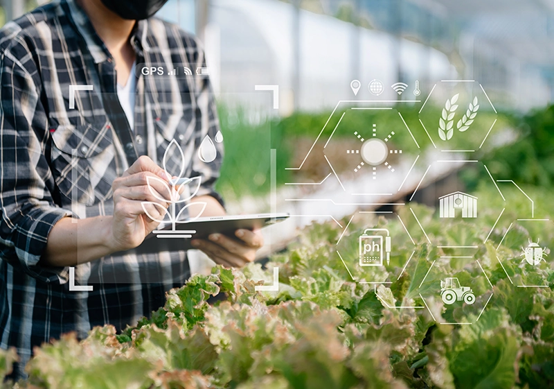Digitize your Vehicle Repair business with Vehicle Repair ERP – Project management with ERP – Vehicle Repair Management with ERP